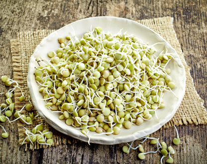 100 Green Lentil(Lens Culinaris)Seeds