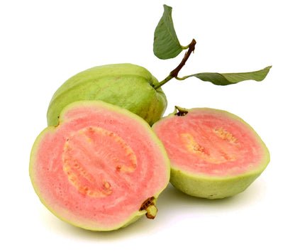 20 Guava Tree (Psidium Guajava) Seeds