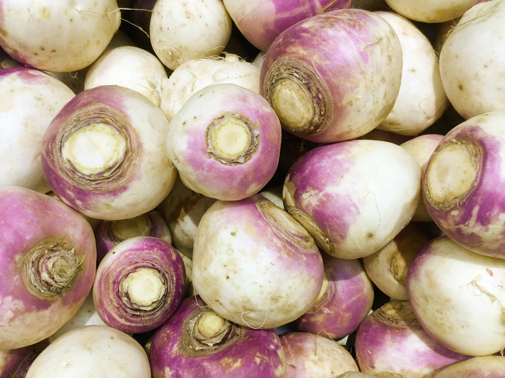 3000 Laurentian Rutabaga (Brassica Napus) Seeds