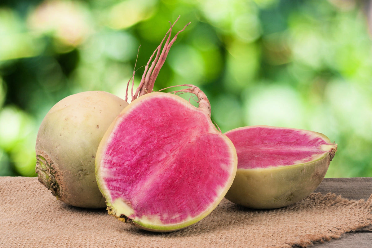 Watermelon Radish (Raphanus sativus) Seeds – 300 ct