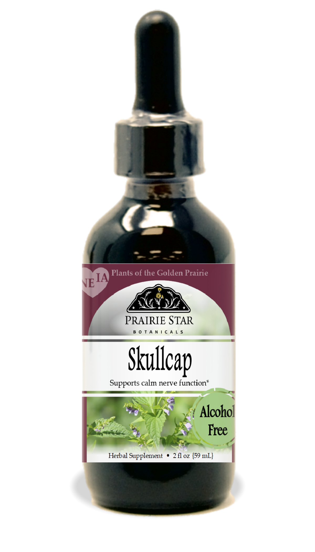 Skullcap