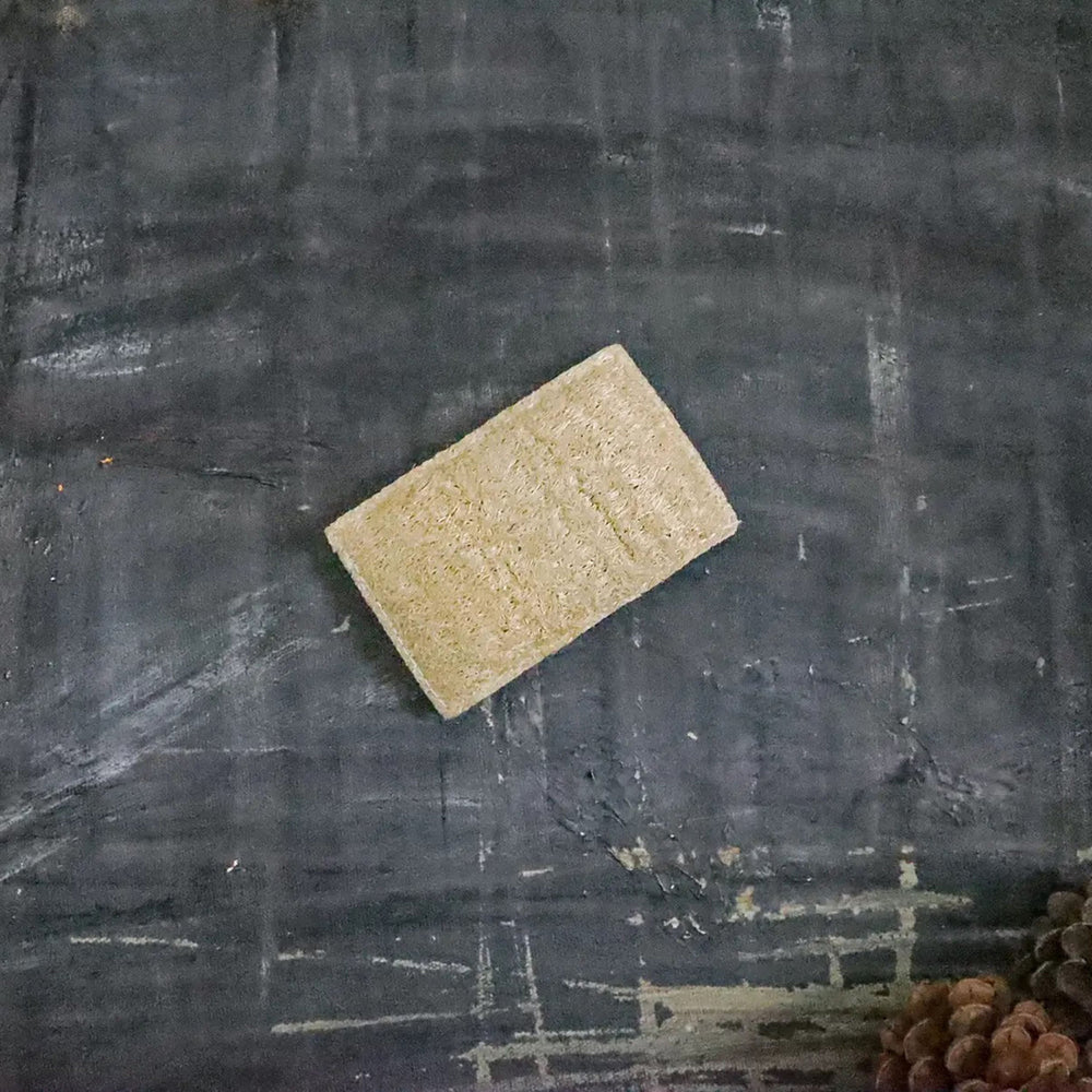 Eco Sponge Set of 2