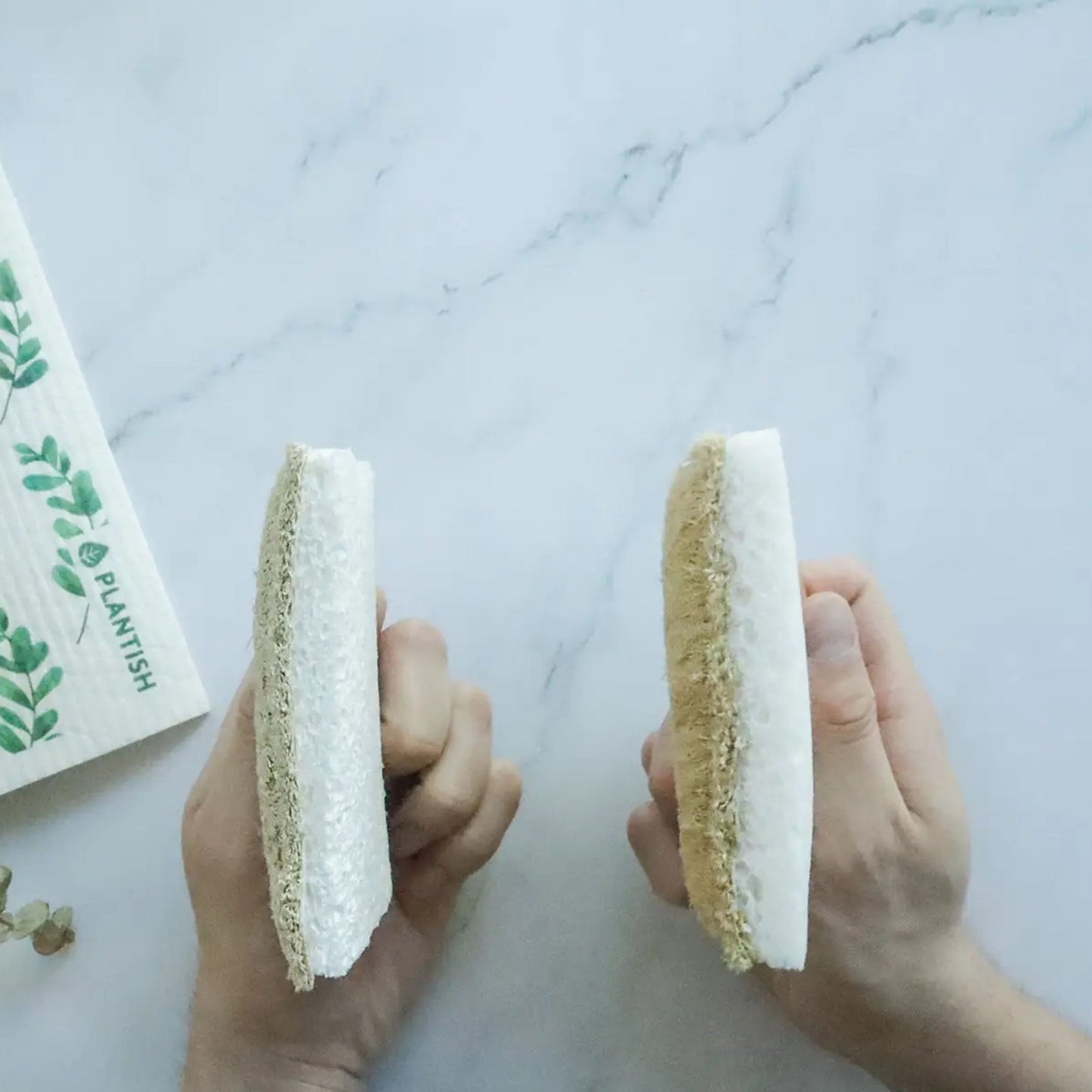Eco Sponge Set of 2