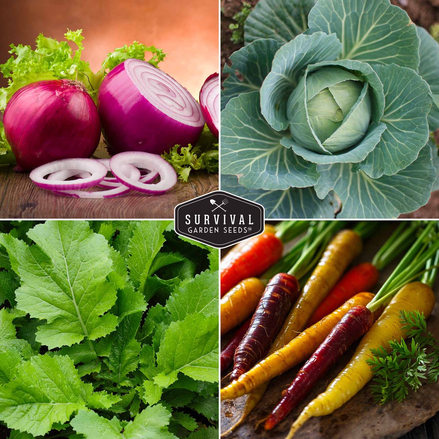 10-Variety Heirloom Spring Vegetable Seed Collection – Non-GMO Cool-Weather Crops for Early, Fall, or Indoor Gardening
