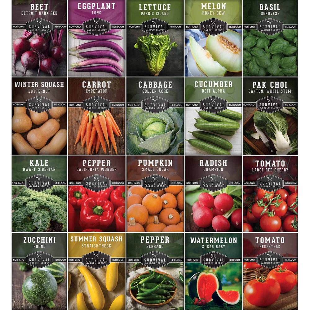 20 Variety Vegetable Garden Starter Seed Collection – Non-GMO Heirloom Kit for Beginner-Friendly Home Growing
