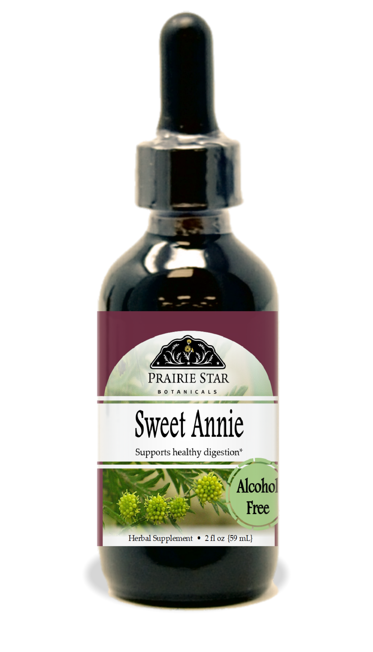Sweet Annie Tincture or Glycerite