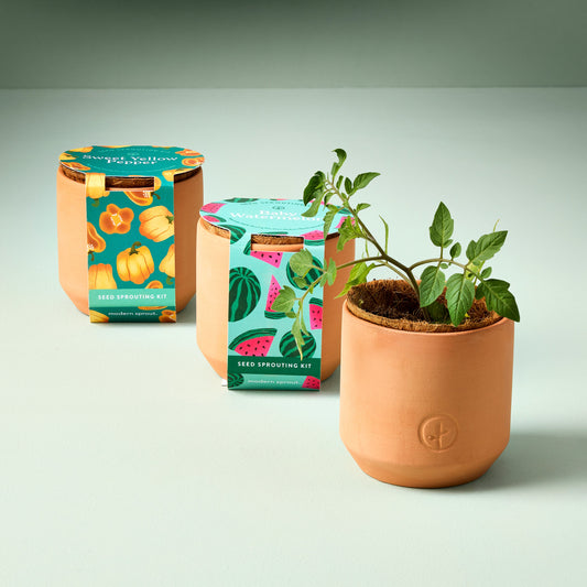 Tiny Terracotta Garden Kits: Seed Starting