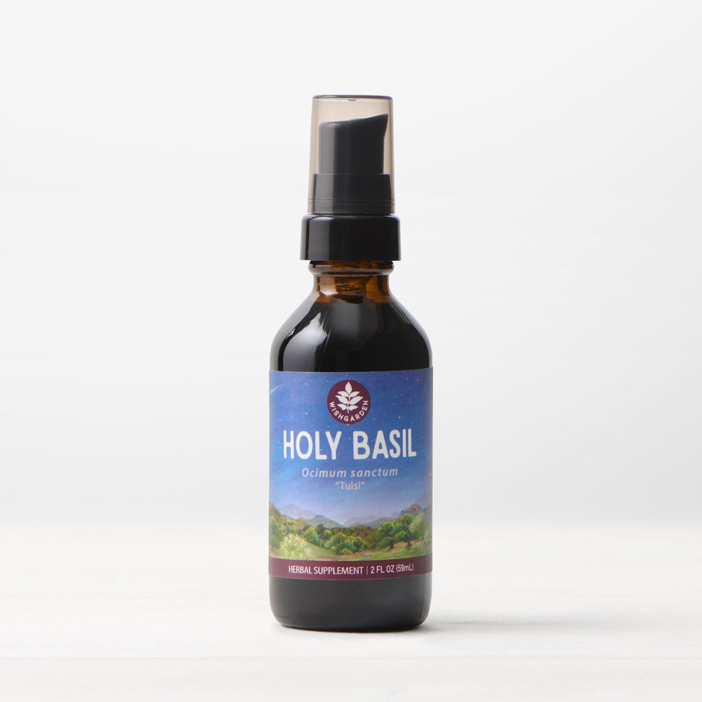 Holy Basil (Tulsi) Simple