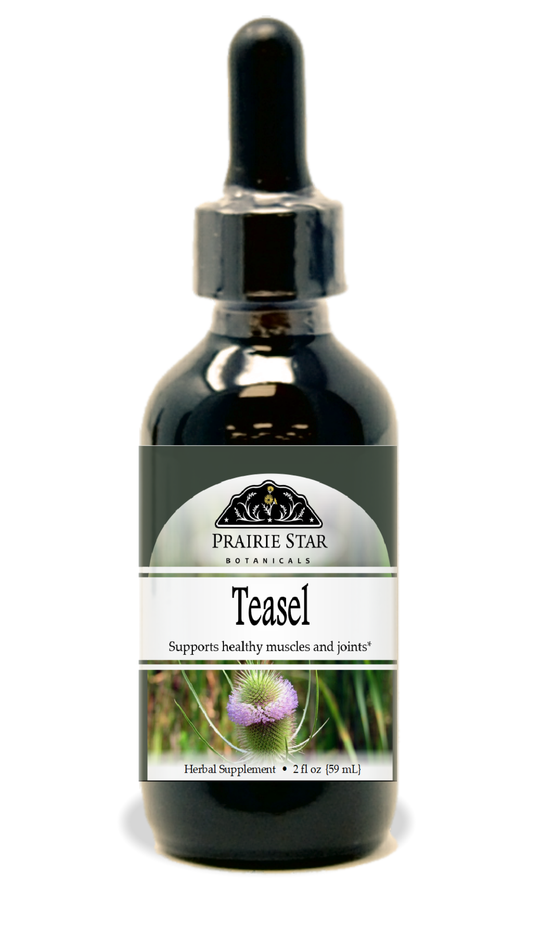Teasel Tincture