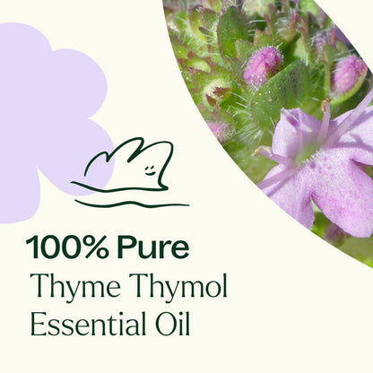 Thyme Thymol Essential Oil
