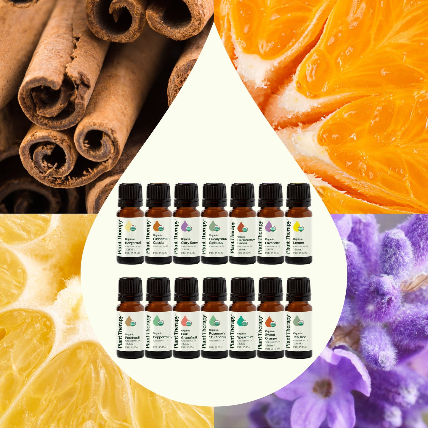 Top 14 Organic Essential Oil Singles Set