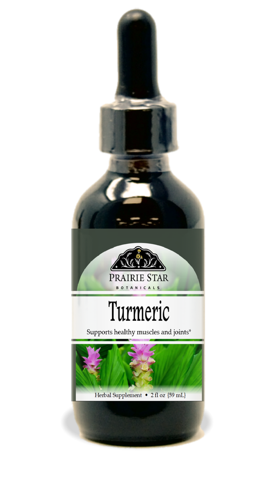 Turmeric Tincture or Glycerite