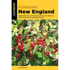 Foraging New England - Paperback