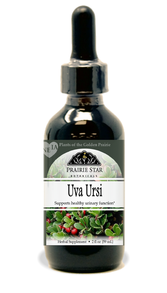 Uva Ursi Tincture
