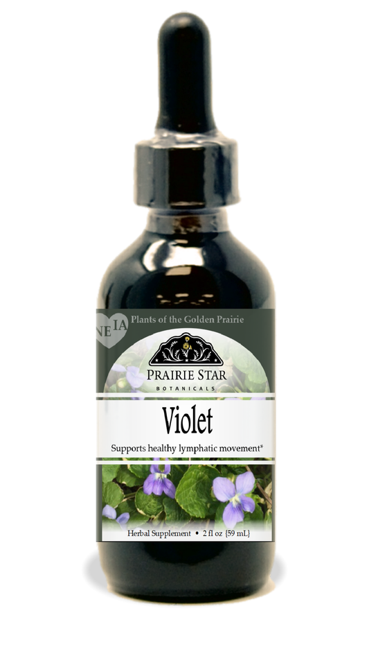 Violet Tincture or Glycerite