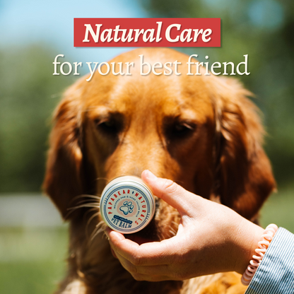 All American Whipped Pet Balm - 1 oz