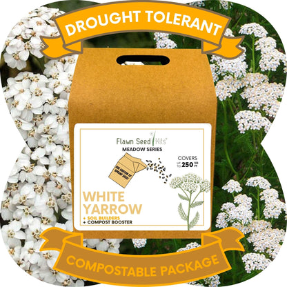 White Yarrow Eco-Friendly Seeding Kit