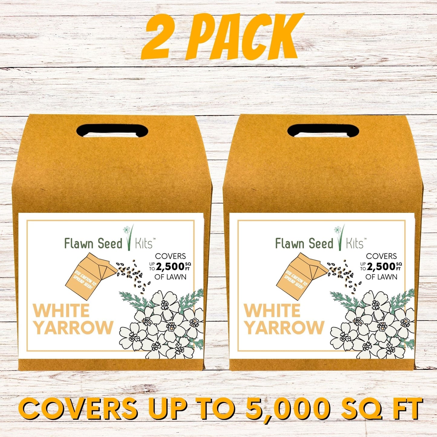 White Yarrow Eco-Friendly Seeding Kit