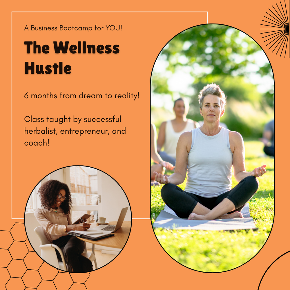The Wellness Hustle: A Business Bootcamp