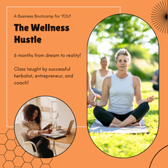The Wellness Hustle: A Business Bootcamp