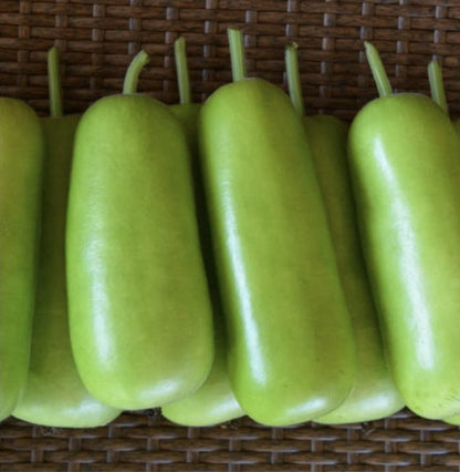 Bottle gourd-Dhol