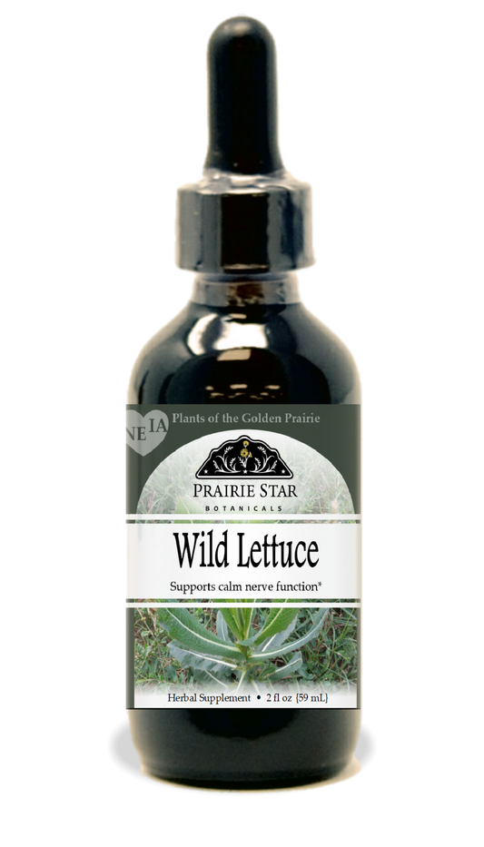 Wild Lettuce Tincture