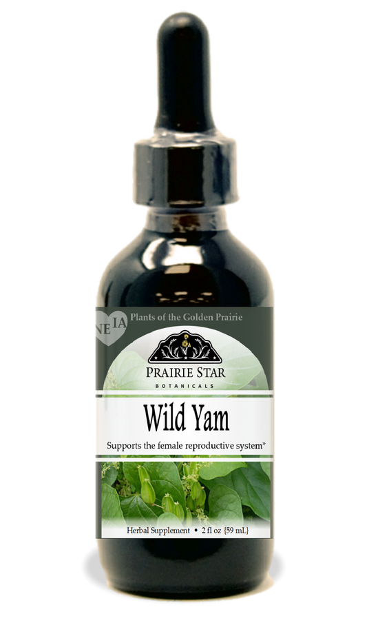 Wild Yam Tincture