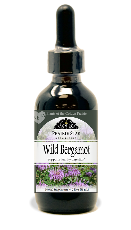 Wild Bergamot Tincture or Glycerite