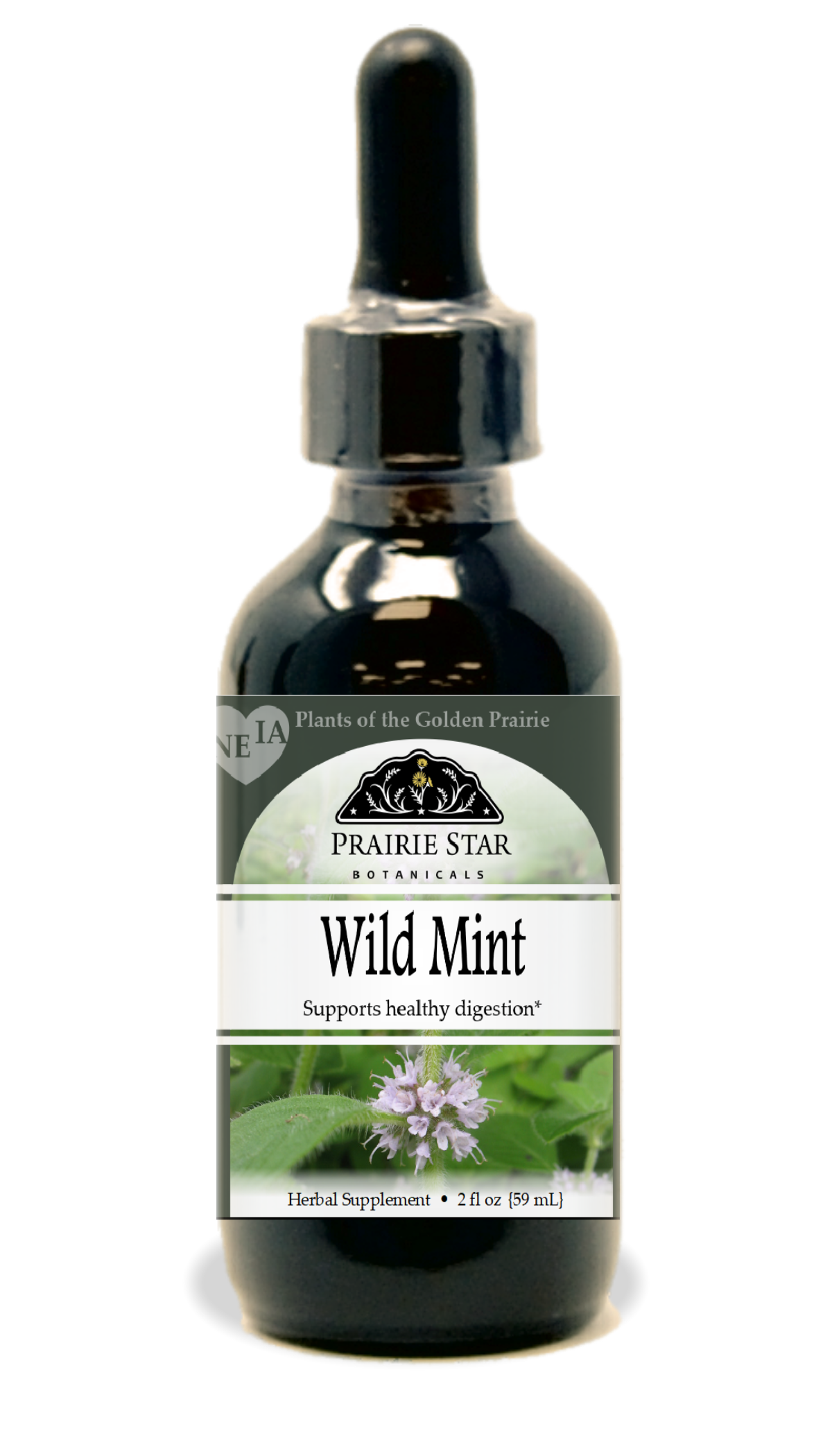 Wild Mint Tincture or Glycerite