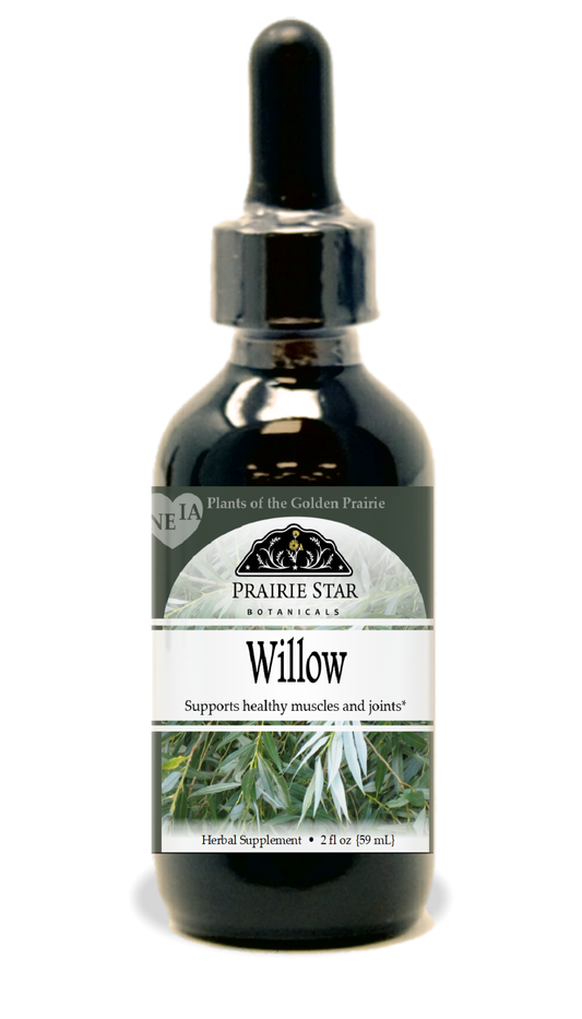 Willow Tincture