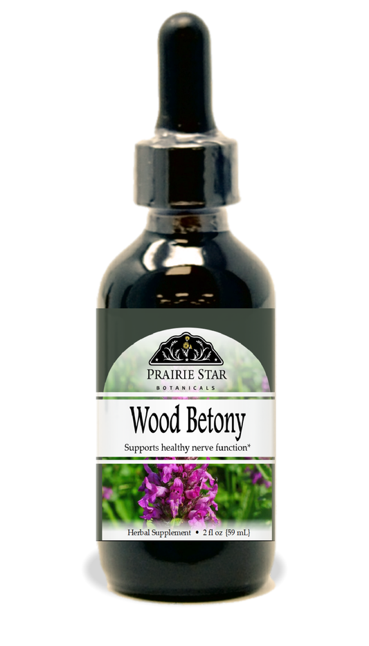 Wood Betony Tincture or Glycerite