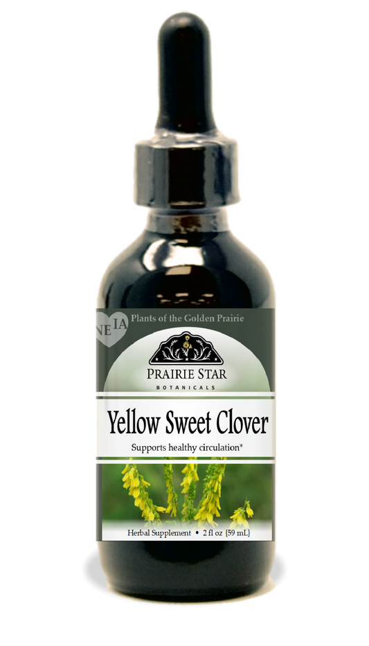 Yellow Sweetclover Tincture