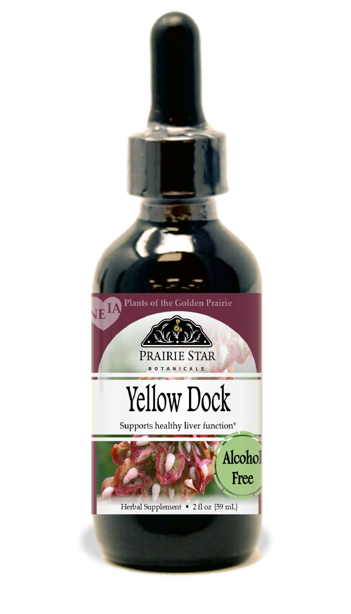 Yellow Dock Tincture or Glycerite