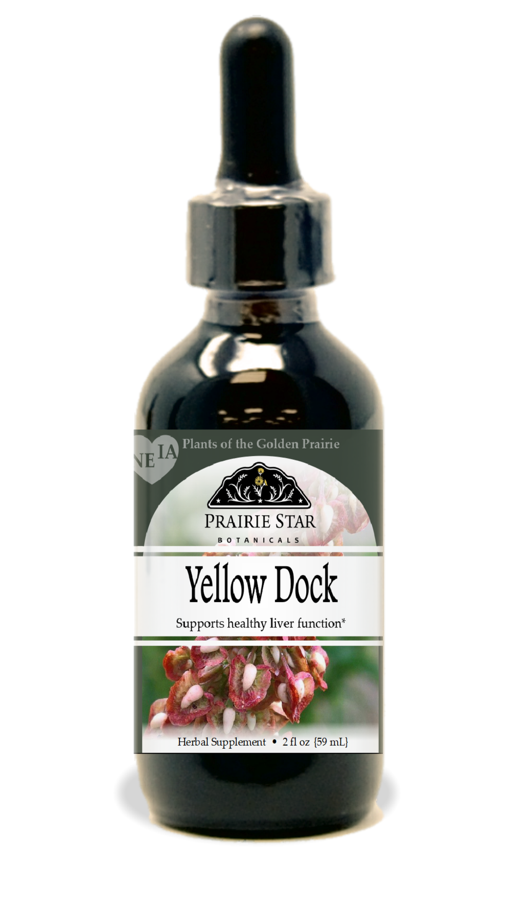 Yellow Dock Tincture or Glycerite
