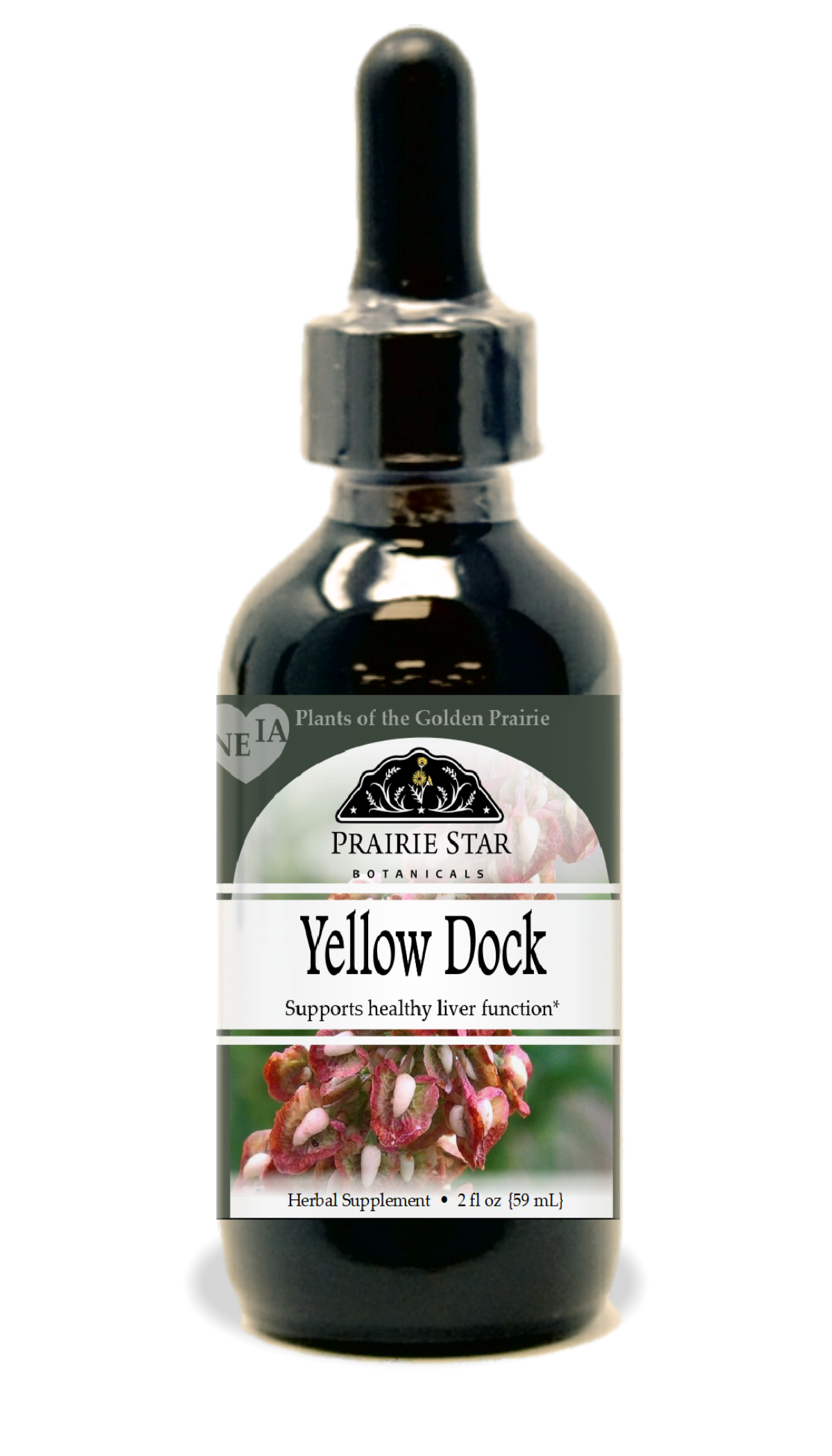 Yellow Dock Tincture or Glycerite