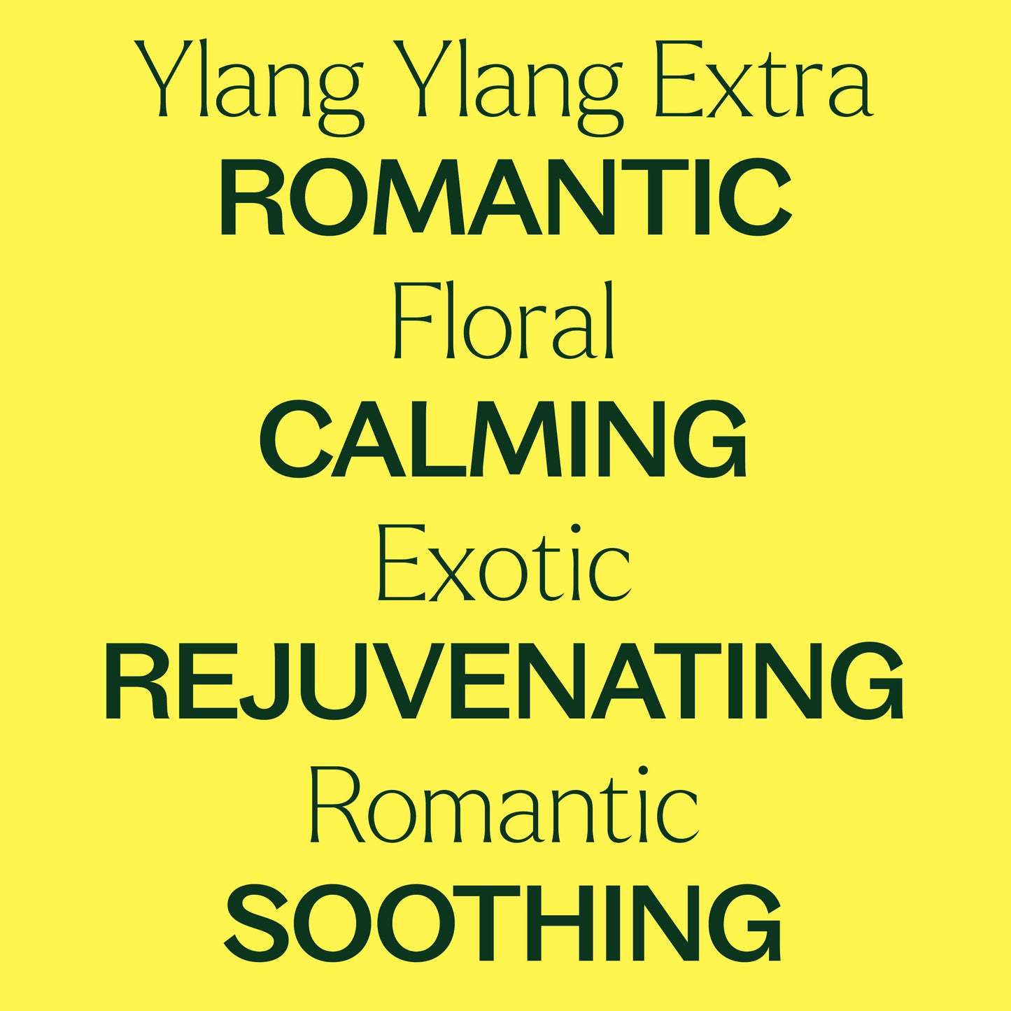 Ylang Ylang Extra Essential Oil