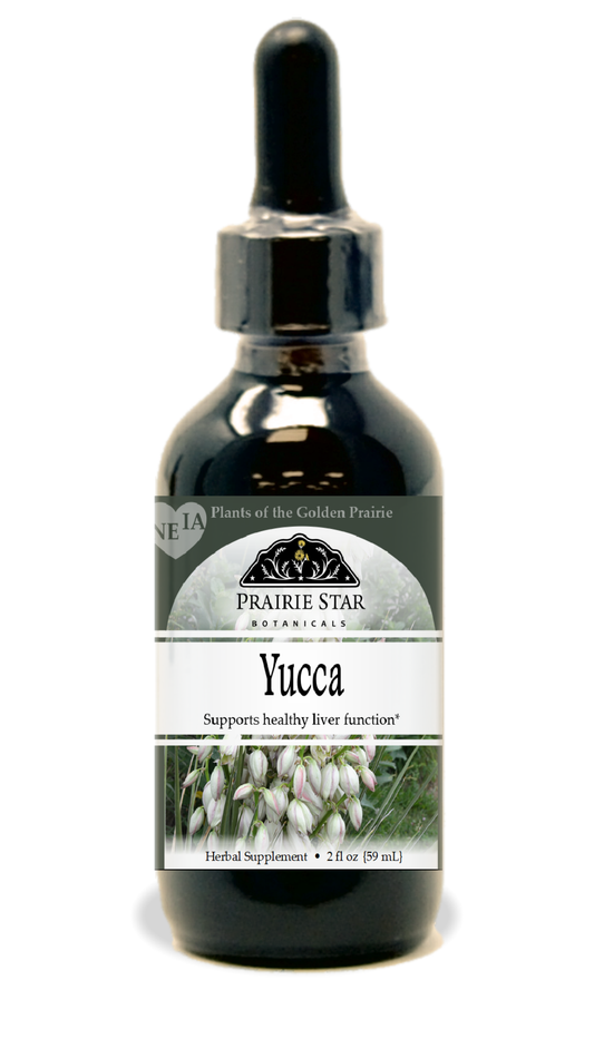 Yucca Tincture