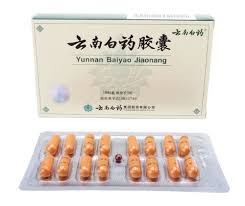 Yunnan Baiyao Capsules for Pets