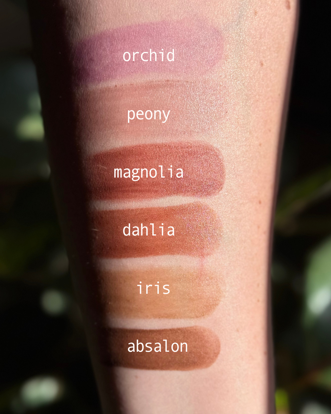 Lip & Cheek Tint
