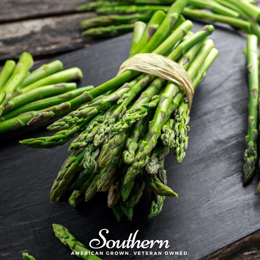Asparagus – 50 Seeds