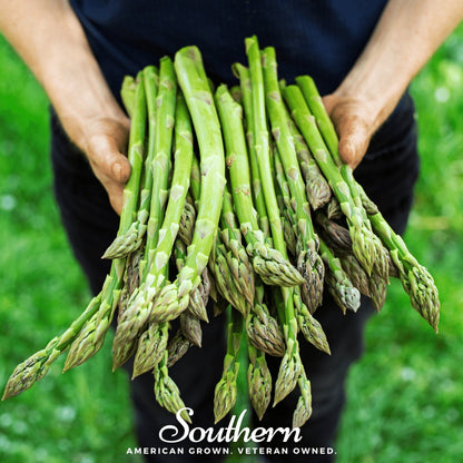 Asparagus – 50 Seeds