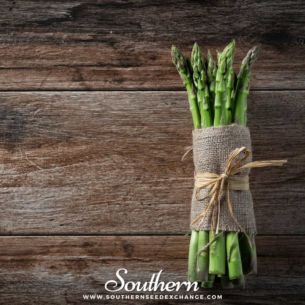 UC72 Asparagus – 50 Seeds