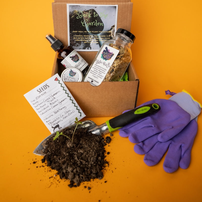 Explore Herbalism Box