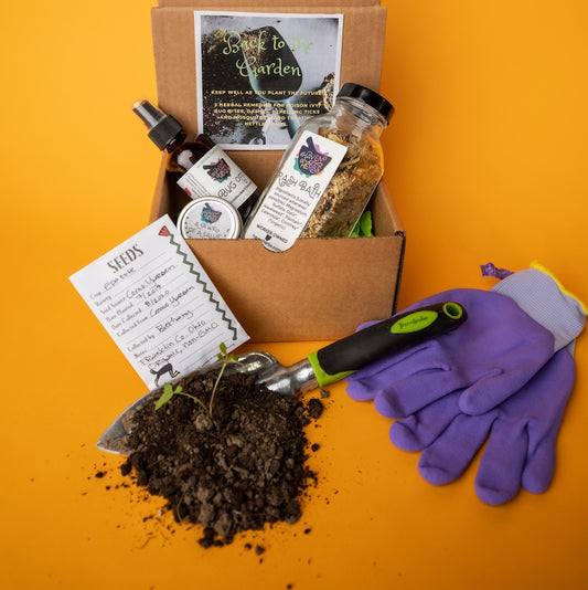 Explore Herbalism Box
