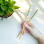 Bamboo Chopsticks | Set of 2