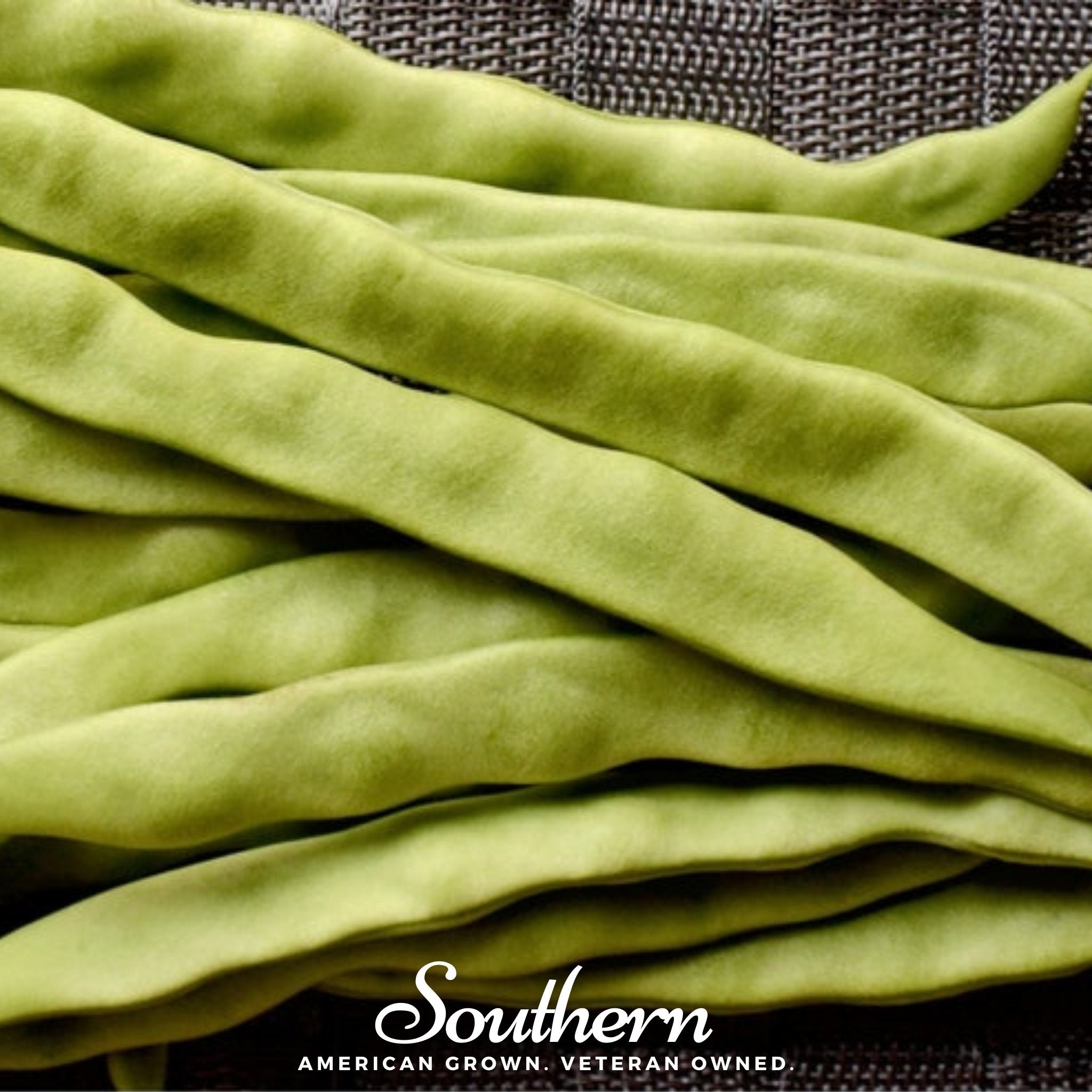 Roma II Bean (Bush Bean) – 30 Seeds – Haven Herbs