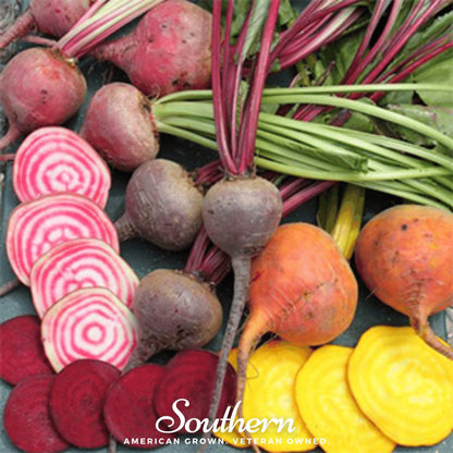 Gourmet Blend Beet – 50 Seeds