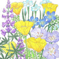 California Native Blue & Gold Wildflower Mix (1/4 lb)