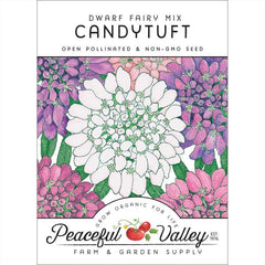 Candytuft, Dwarf (pack)