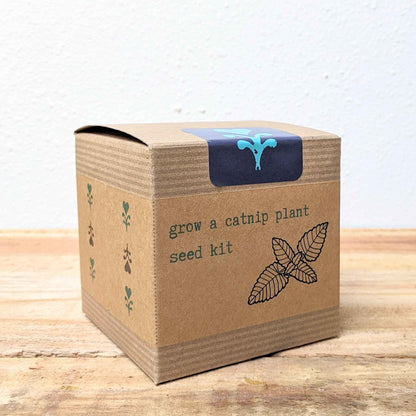 Catnip Beginner Grow Kit